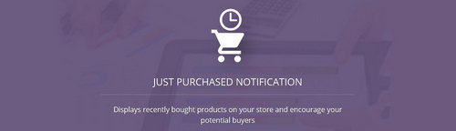 Just Purchased Notification OpenCart v4.0