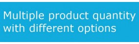 Multiple Product Quantity with Options