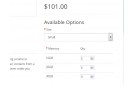 Multiple Product Quantity with Options OpenCart v1.0.0