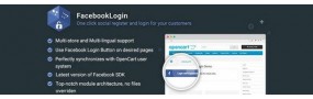 Facebook Login Button - Powerful Plug-and-Play Login Button